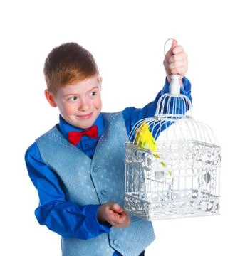 Boy with a bird Stock Photos