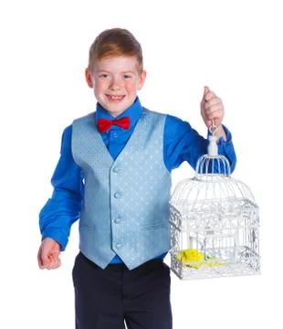 Boy with a bird Stock Photos