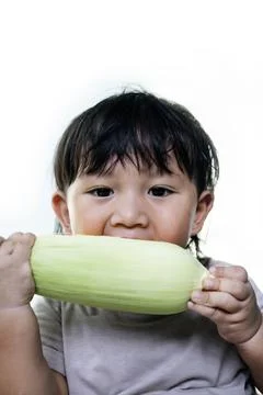 The Boy Bitting Fresh Corn Stock Photos