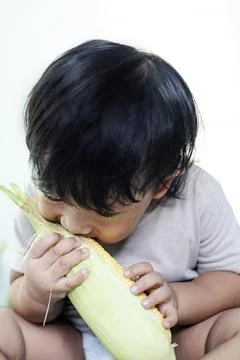 The Boy Bitting Fresh Corn Stock Photos