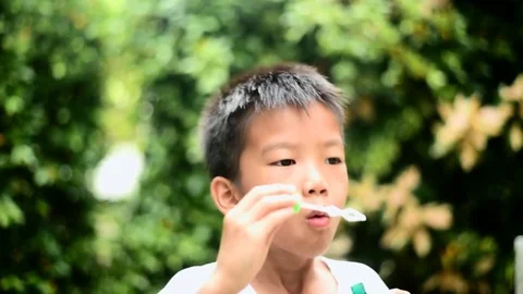 Boy blow a soap bubble in the garden 스톡 동영상 79335852