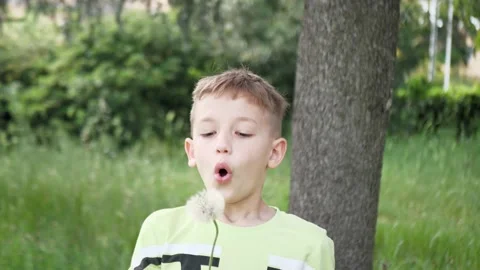 Boy blowing on dandelion beautiful sunset light Stock Footage 201406928