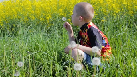 Boy blowing on dandelion Video stock 126621886