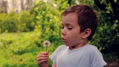 Boy blowing on dandelion, kid play outdoor beautiful. Vídeos de archivo 119028556