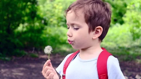 Boy blowing on dandelion, kid play outdoor summer. Stock Footage 122287350