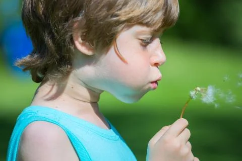 Boy blowing dandelion Stock Photos
