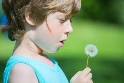 Boy blowing dandelion Stock Photos