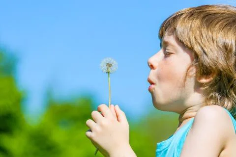 Boy blowing dandelion Stock Photos