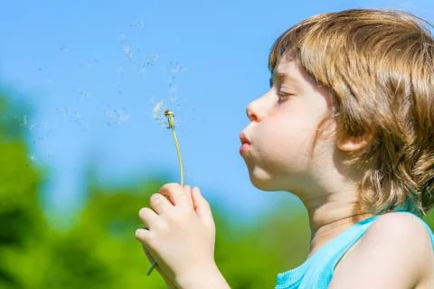 Boy blowing dandelion Stock Photos