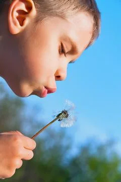 Boy blowing dandelion with sky on background Stock Photos