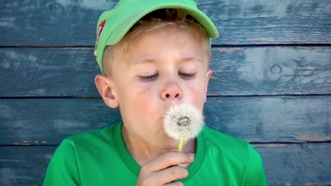 A boy blowing dry dandelion in slow motion in front of a barn wall Stock Footage 76046793