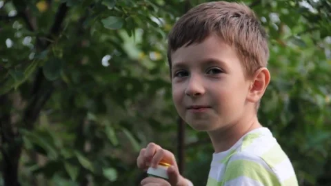 Boy blowing soap bubbles Stock Footage 80462535