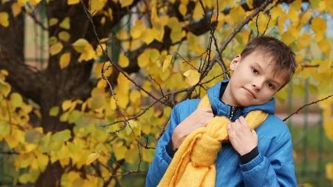 Boy in blue jacket and yellow scarf by autumn tree, playful and smiling Stock Footage 289476574