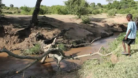 Boy in Blue Trepidly Crosses Fallen Tree in African Stream Stock Footage 10719632