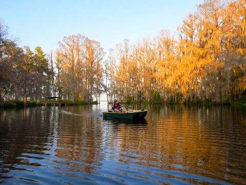 Boy in boat surrounded by forest Stock Photos