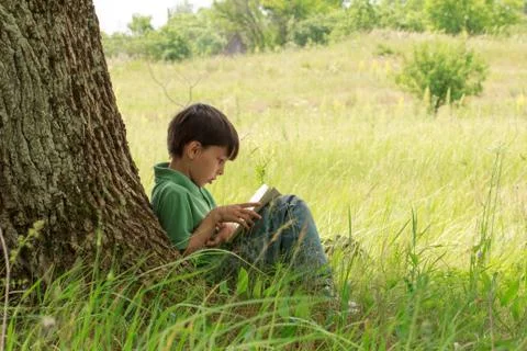 Boy with a book Stock-Fotos