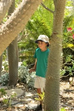 The boy in the botanical garden Stock Photos