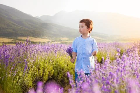 Boy with a bouquet in box Stock Illustration