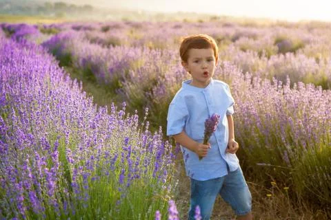 Boy with a bouquet in box Stock Illustration