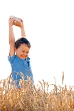 Boy with the bread over your head in the mature grain with the sun  Stock Photos
