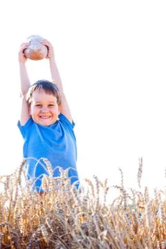 Boy with the bread over your head in the mature grain with the s Stock Photos