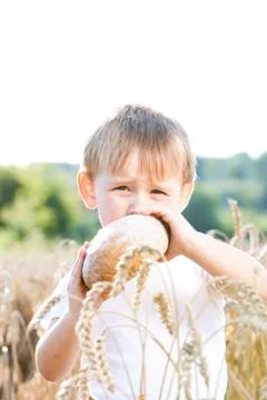 Boy with the bread over your head in the mature grain with the sun at your ba Stock Photos