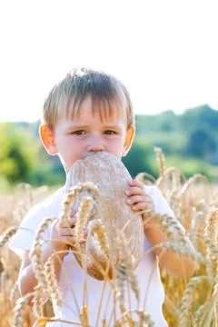 Boy with the bread over your head in the mature grain with the sun at your ba Stock Photos