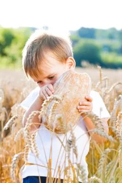 Boy with the bread over your head in the mature grain with the sun at your ba Stock Photos