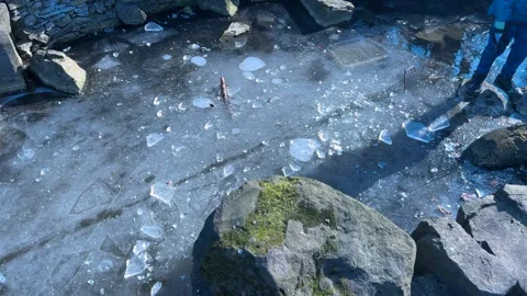 A boy breaks pieces of ice on the ice surface of a frozen pond in winter. Video stock 302281480