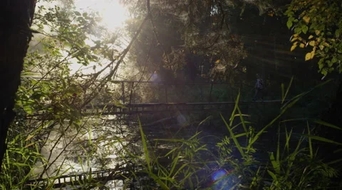 Boy is on the bridge over the forest river 1 Stock Footage 69004499