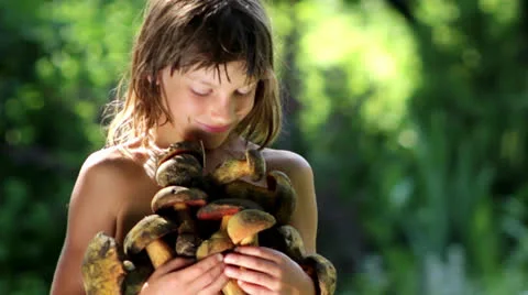 Boy with a bunch of forest mushroom Stock Footage 25354373
