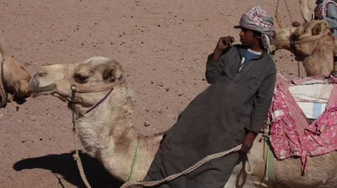 Boy on a camel in a bedouin camp near Hurghada, Egypt Stock Footage