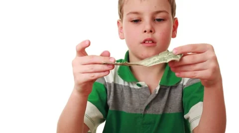 Boy carefully studies bill denominations of one dollar Stock Footage 8655097