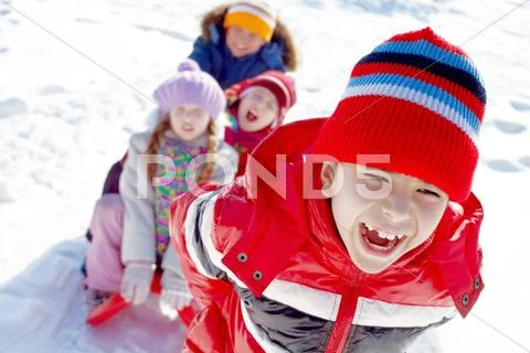 A boy carrying his three friends on sled in sunny winter day Stock Photos