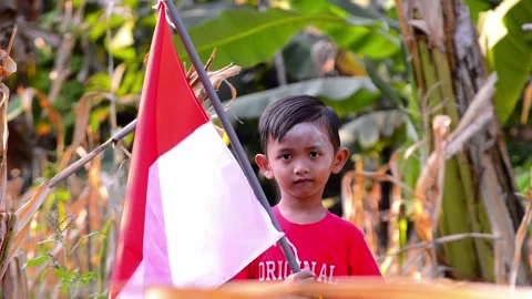 Boy carrying a red and white flag 库存影片 292868047