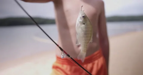 Boy caught a fish Stock Footage 137065104