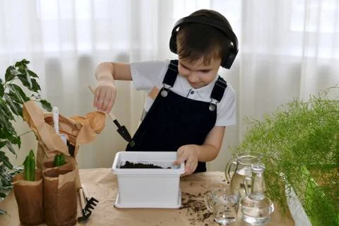 The boy, cheerfully smiling and dancing, is engaged in the planting of hyacinths Stock Photos