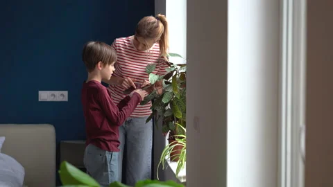 Boy child helps mom to care for house pl... | Stock Video | Pond5