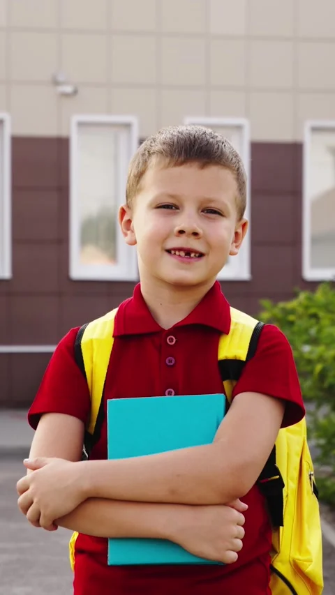 Boy child kid schoolboy first grader backpack holding textbook book hands, happy Stock Footage 308882009