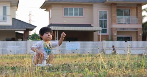 Boy child playing flowers in lawn grass of village house Stock Footage 86338853