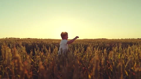 Boy child plays airplane pilot nature. childhood dream becoming airplane pilot Stock Footage 245863935
