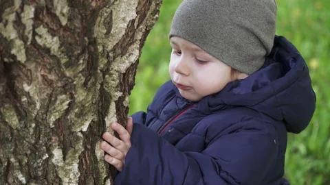 Boy child touches a tree 스톡 동영상 132528802