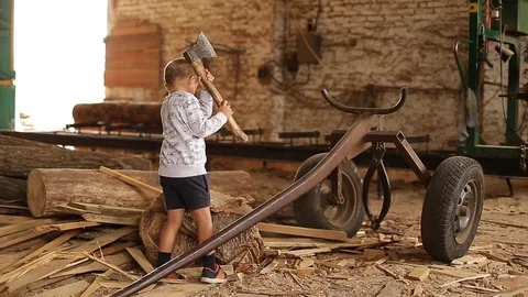 The boy chopped wood. Stock Footage 129080917