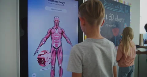 Boy in Class Studies Human Skeleton and Organ System on Large Digital Screen Stock Footage 318075851