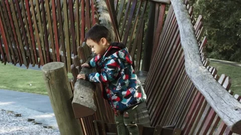 Boy climbing down obstacles in the playground Stock Footage 219108044