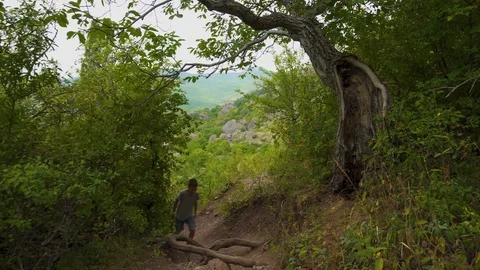 Boy Climbing Forest Mountain Path In Summer Stock Footage 115150587