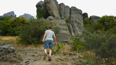 Boy Climbing Mountain Path In Summer Stock Footage 115127087