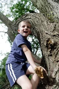 Boy climbing a tree Stock Photos