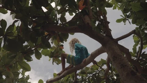 Boy climbs tree on the beach Stock Footage 108226723