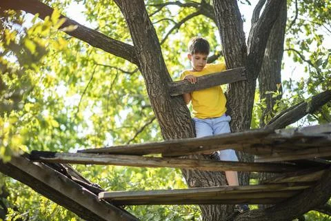 A boy climbs a tree in the forest in summer 스톡 사진